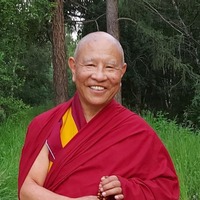 Jhado rinpoche p