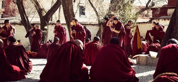 Study buddhism debates
