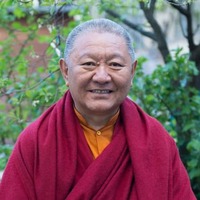 Study buddhism ringu tulku p