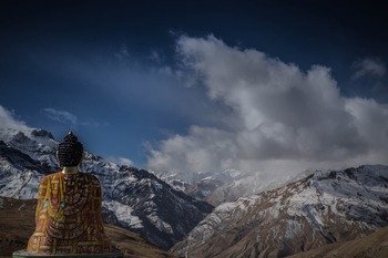 Study buddhism universal values 02